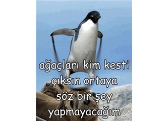 Vay hayvan vay
