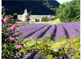 Saint Remy de Provence'da 1 gün!