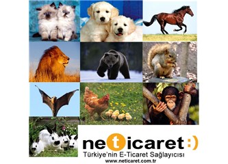 Hayvanlar Dünyası E-Ticaret Sitesi açsaydı ne olurdu ?