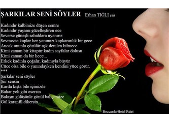 Allı Güllü Dizelerim