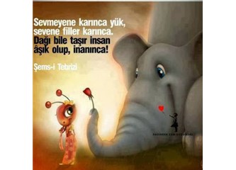 Kontürlü Aşk!