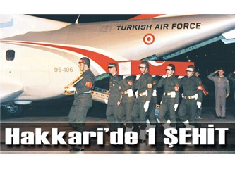 ‘Kargaşa ortamında şehit’! Nasıl yani?