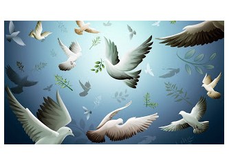 Sevgi dili Sevginin Eseri