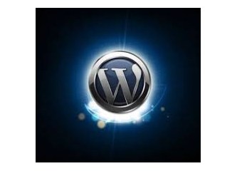WordPress ile Site kurmak