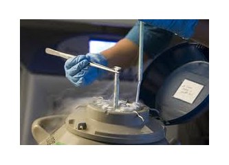 Dondurulmuş embriyo riskli mi?