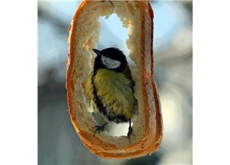 Gece soğuk, karanlık ve ürkütücü idi. (Bölüm 2)