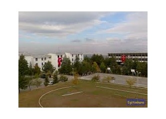 AFL'liler ve statü