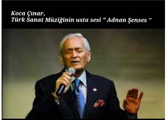 Koca Çınar, Türk Sanat Müziğinin ustası "Adnan Şenses " babayı kaybetmişiz. Yok inanmam !