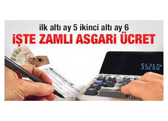 Asgari ücret 1 yılda döviz cinsinden ne kadar kaybetti?