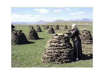 Altı Hayvan Kermesi, üstü Kırmızı örtü