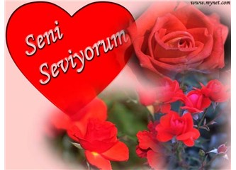 Seni seviyorum