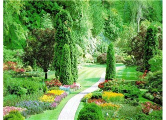 Bahçeler ve çöller