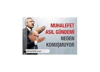 Türkiye muhalefeti üzerine bir kaç söz