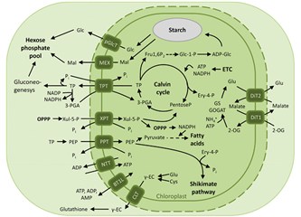 1400 yıl önce bunların hiçbiri bilinmiyordu