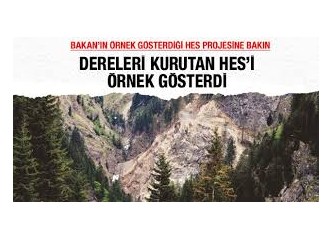 Bakanın örnek gösterdiği HES projesi