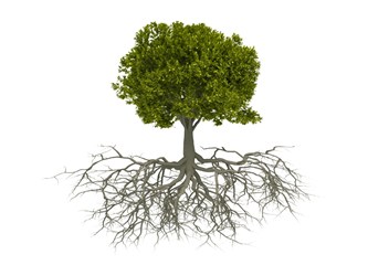 Bir söz /bir resim