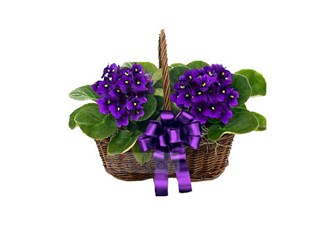 Neden geldik, neden gidiyoruz