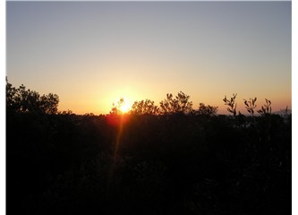 Kadınlar ve erkekler