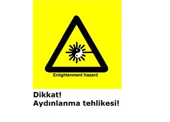 Çanakkale Tuzağı; Çanakkale’de Dünya Savaşı'nın en büyük kaybı Almanların çıkarına mı verildi (5)