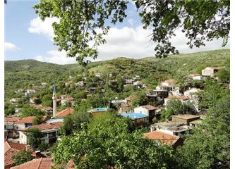 Dağa kaçtım ~Aydın dağlarında eren babaların izinde -1
