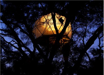 Ağaçta hayat var: ünlü ağaç ev tasarımcısı Dustin Feider