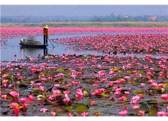 Eski komünistler direniyor!