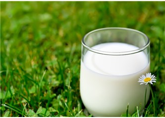 Kusursuz ve alternatifsiz bir besin; süt
