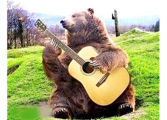 Açıkgözler; fazladan süt ve bal almak için, hayvanlara, şimdi de konser dinletiyorlar.