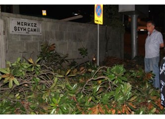 Şeyh camisi ve ölçüsü bozulan kalbimiz
