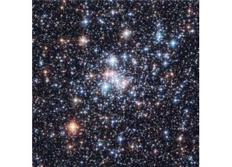 Haiku. 135 : Yıldızlar