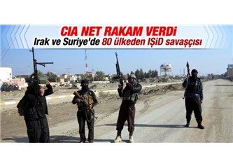 Dünya düşünüyor, IŞİD silip süpürüyor