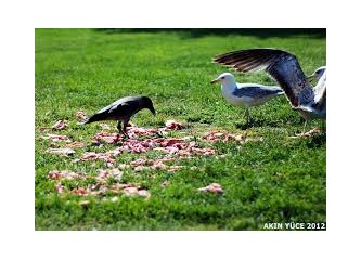 Cüssesi büyük darası düşük adam!