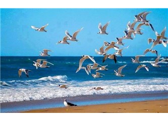 Karel’e veda mektubu (Emekli olurken)