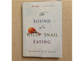 Vahşi Sümüklü böceğin Yemek Yerken Çıkardığı Sesler; Elisabeth Tova Bailey