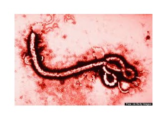 Ebola da neyin nesi?