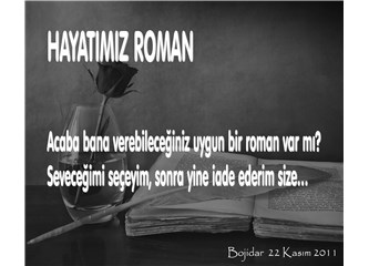 Hayatımız roman