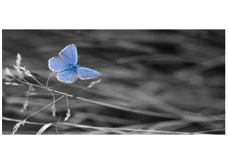 Kader defterini yazan yazmıştır en güzelini