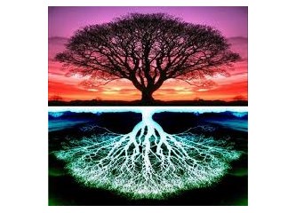Yaşam Ağacı nedir? Neyin sembolüdür?