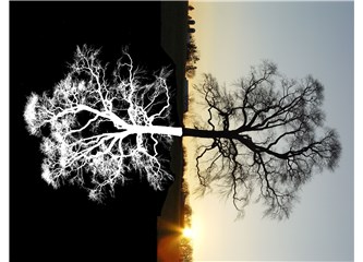 ÜNİVERSİTELİ OLMAK BİR SON MU YOKSA?..
