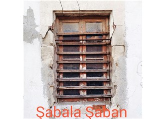 Şabala Şaban