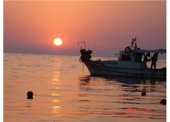 Didim'in araba sevdası...