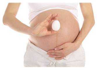 Yumurta Donasyonu Nasıl Yapılır?