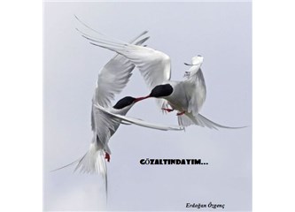 Gözaltındayım