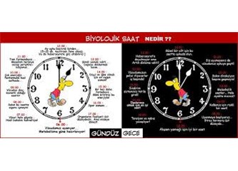 Biyolojik saat nedir? Vücudumuz saat saat nasıl çalışıyor?