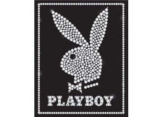 Bir Playboyun Günlüğünden 30. ve 31. Bölüm