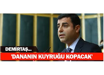 Kürt "dana"sının kuyruğu!