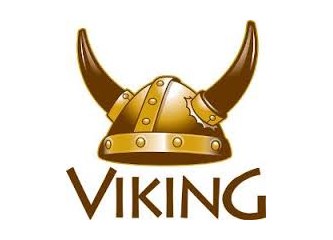 Acemi Viking!
