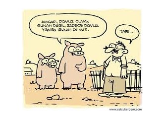 Fetva şeysileri