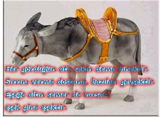Eşeğin Mektubu