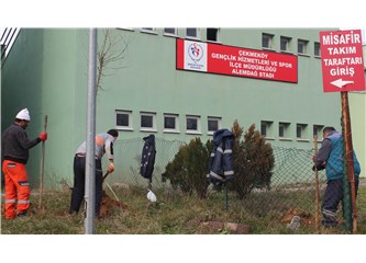 Çekmeköy Belediyesi, Alemdağ Stadı'na onlarca çınar fidanı dikti.